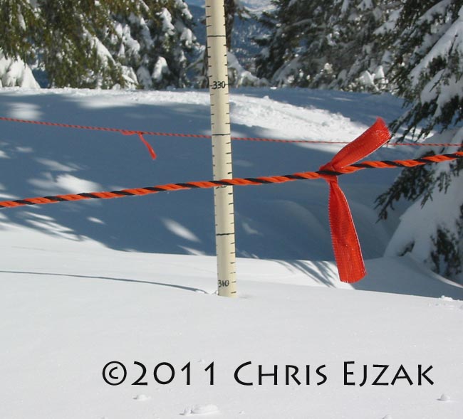 Nugget #205 2011 Mar Alpine  Snowstake