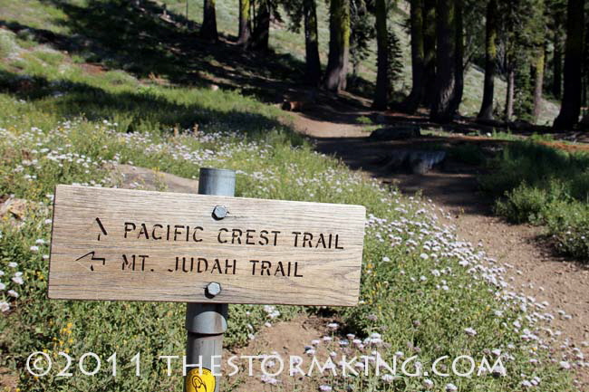 Nugget #215 Judah PCT Trail  Sign