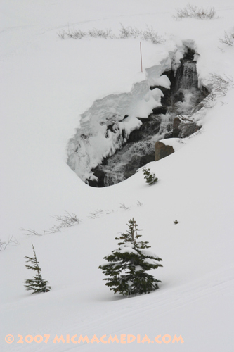 Nugget #112 D Sierra snowmelt May 07 Squaw