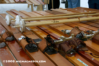 Nugget #135 C Bindings and poles closeup