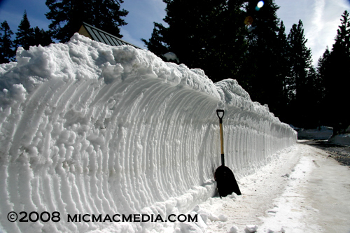 Nugget #140 C Rotary cut berm Feb 2008