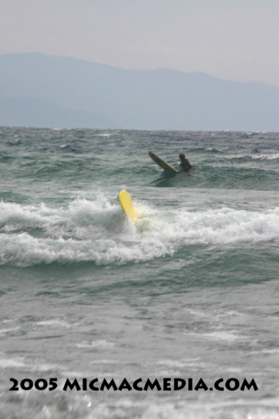 Nugget #28 Surf's Up on Tahoe ID and resized