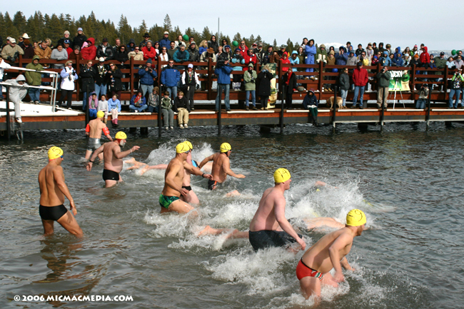 Nugget #54 D 2006 polar swim men start