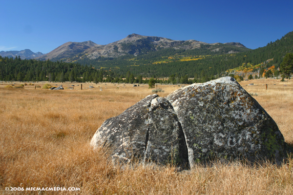 Nugget #62 A Hope Valley autumn boulder ID