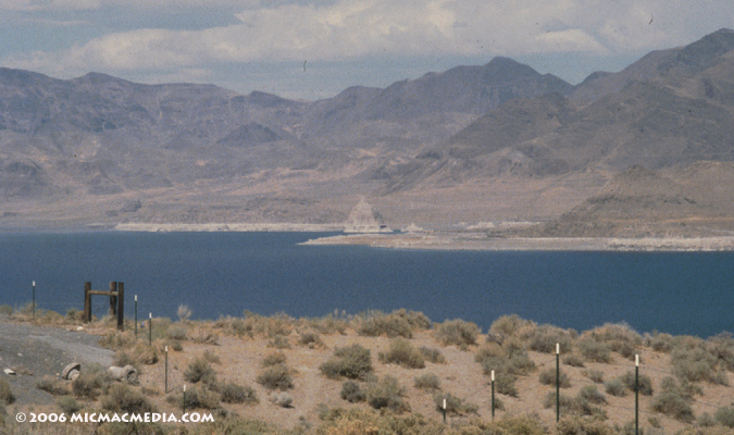 Nugget #62 C Pyramid Lake ID