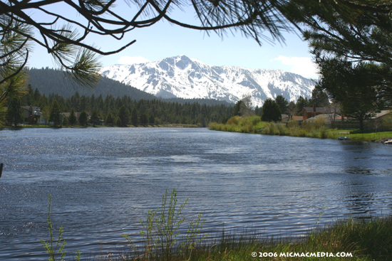 Nugget #74 E Scenic view of Tallac