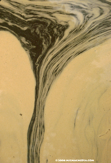 Nugget #79 D Pollen tornado