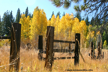 Nugget 94 A Aspen corral Tahoe City