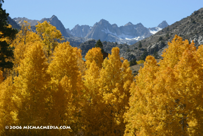 Nugget 94 E Sabrina Lake aspens copy