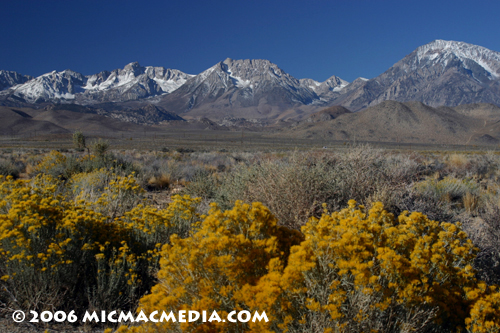 Nugget #97 A Eastern Sierra